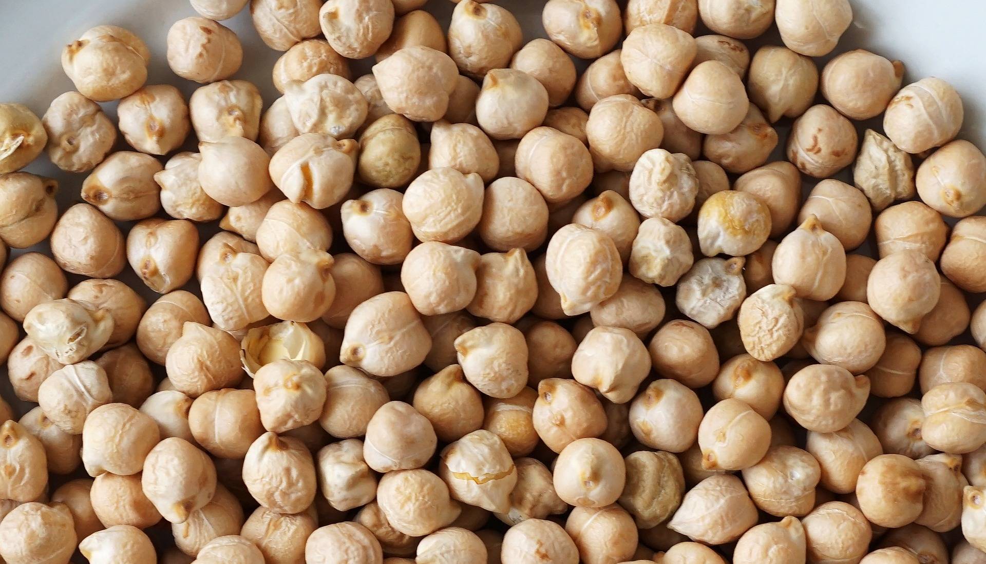حمص