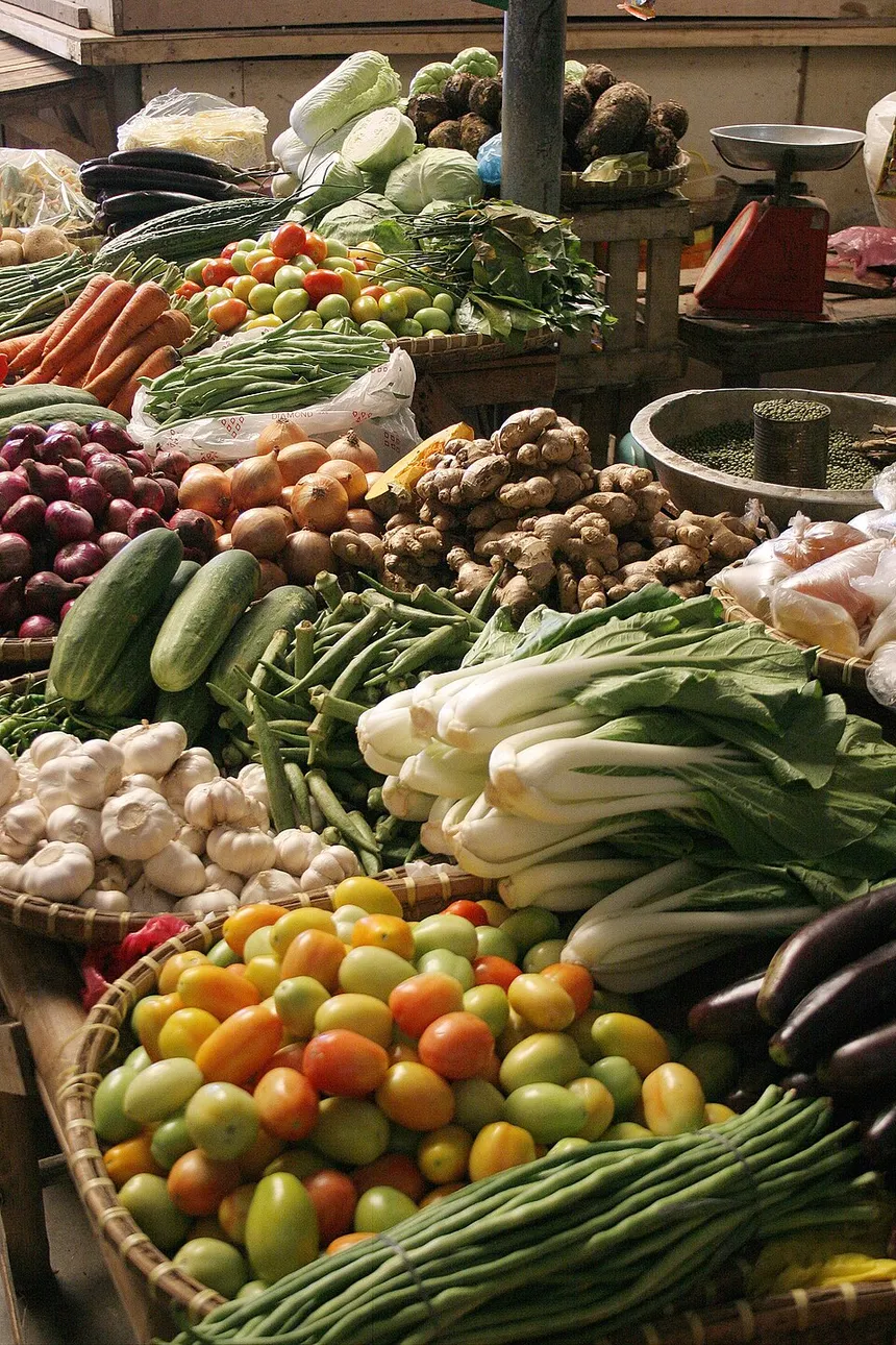 فريق Bosphorus Trade يفحص المنتجات